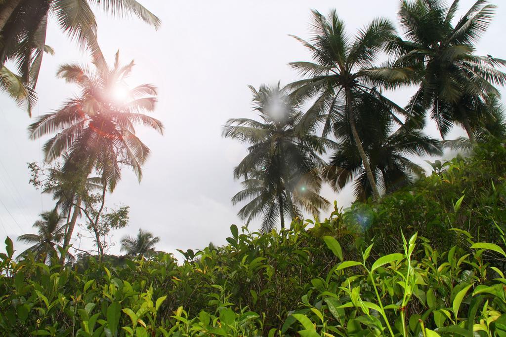 Athulya Villas, Kandy Kadugannawa Eksteriør billede