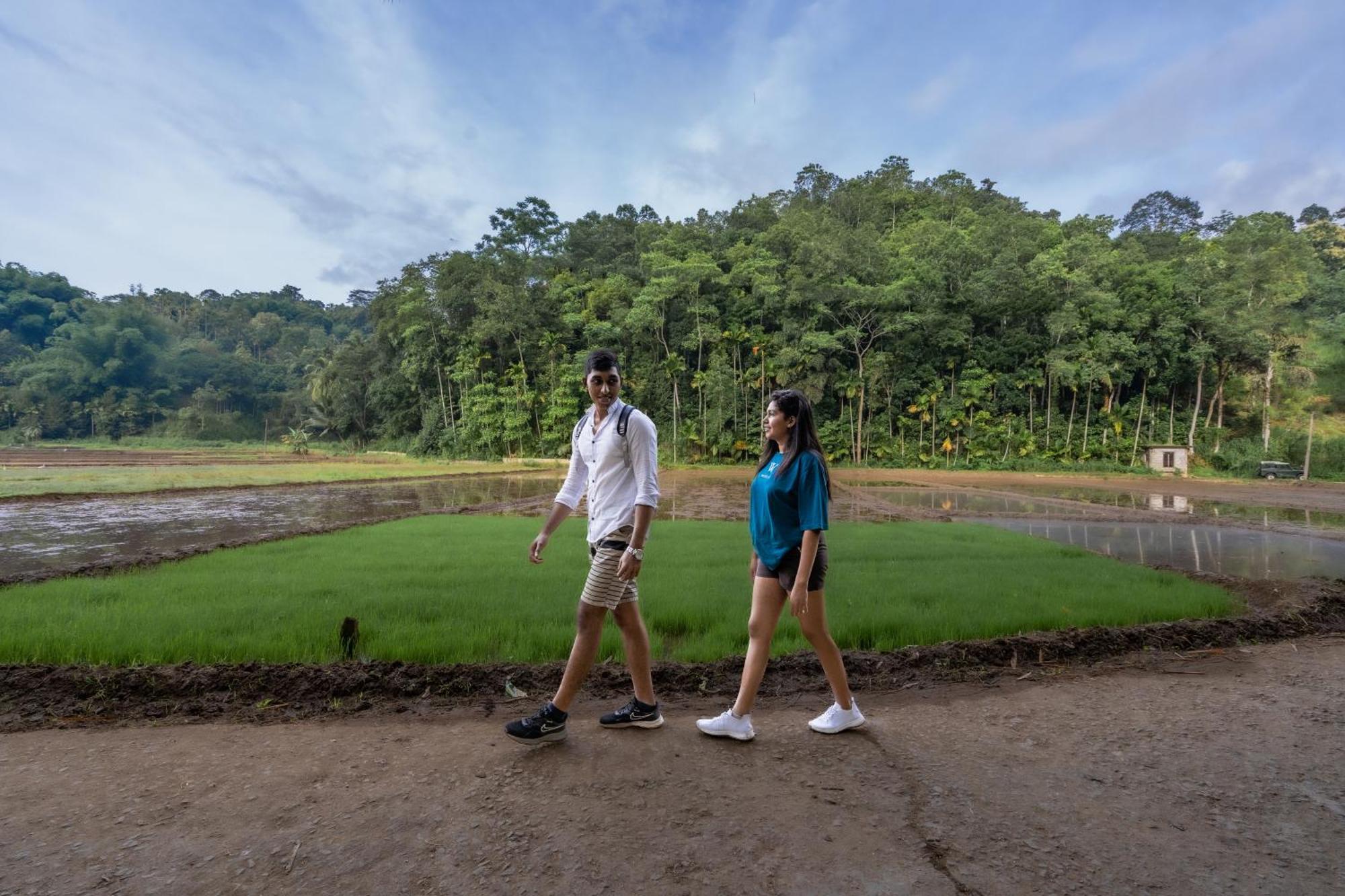 Athulya Villas, Kandy Kadugannawa Eksteriør billede
